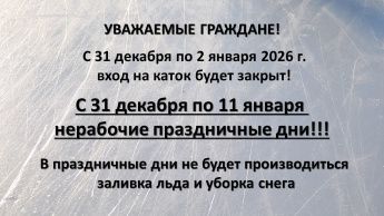 Праздничные дни